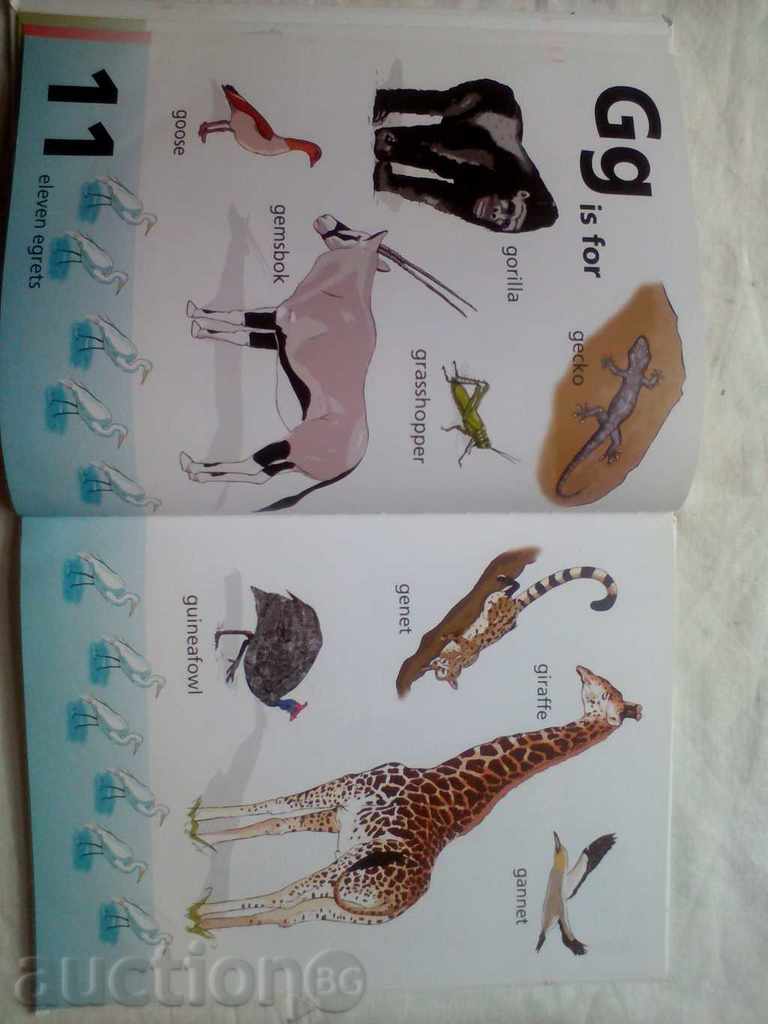 Livrarea fauna sălbatică africană carte faunei sălbatice african Livrarea fauna sălbatică africană carte faunei sălbatice african