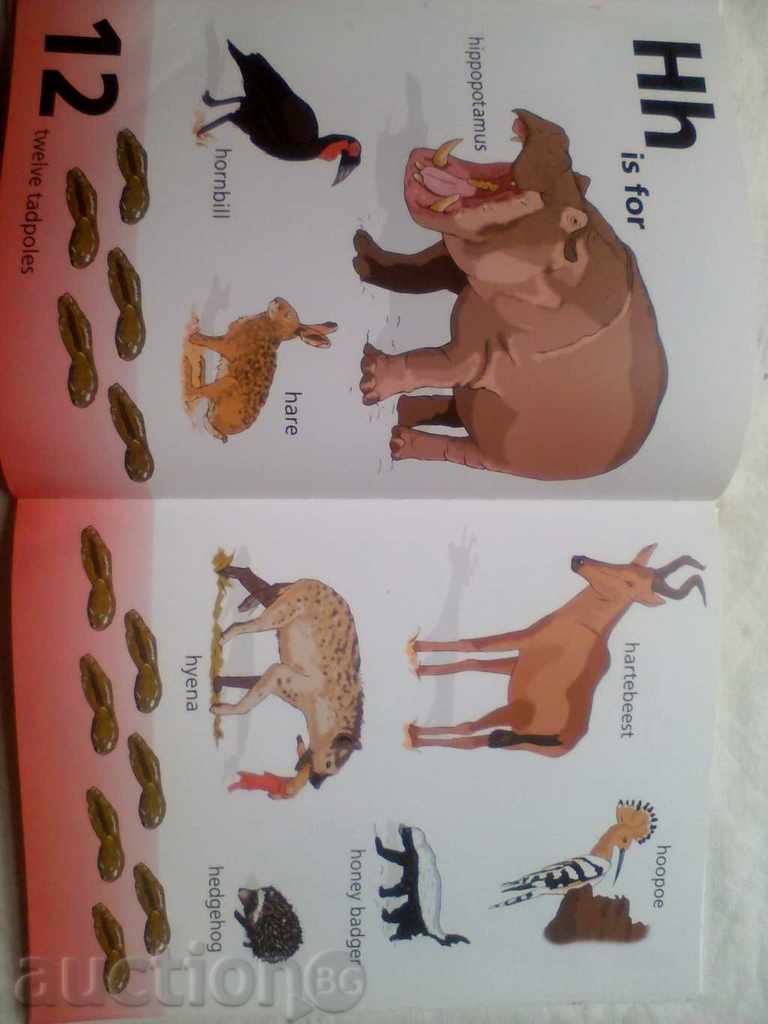 fauna sălbatică africană carte faunei sălbatice african - 5 fauna sălbatică africană carte faunei sălbatice african - 5