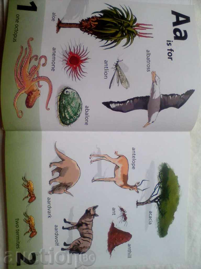 fauna sălbatică africană carte faunei sălbatice african - 6 fauna sălbatică africană carte faunei sălbatice african - 6