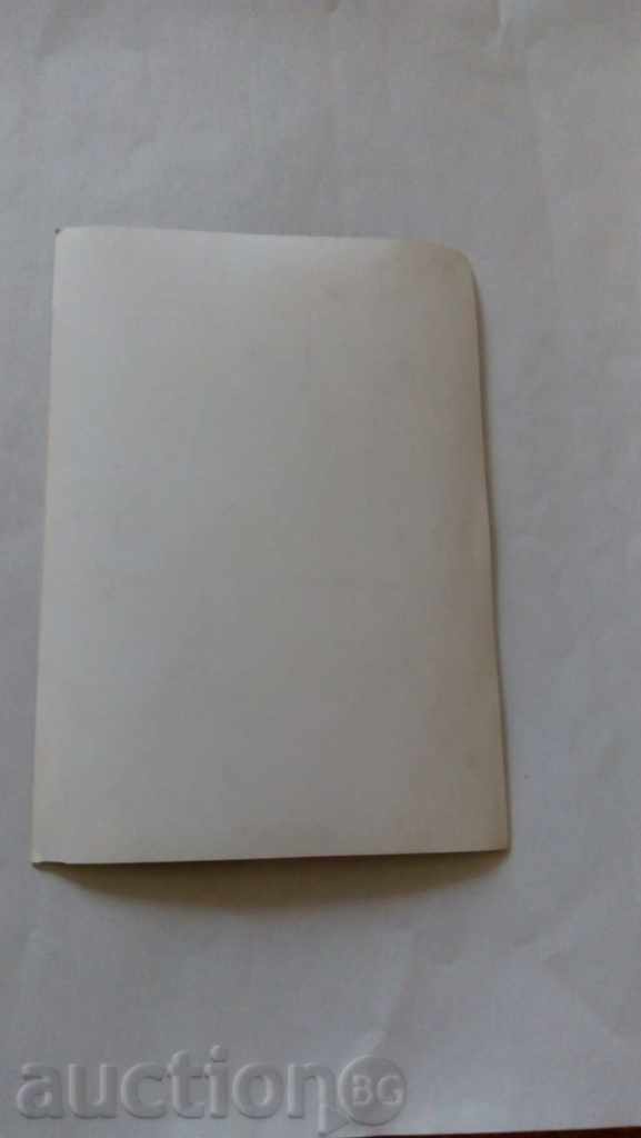 Καρτ ποστάλ Viele Goosl με χειρόγραφες amtograf με τιμή 1.25 BGN | € 0.64 Καρτ ποστάλ Viele Goosl με χειρόγραφες amtograf με τιμή 1.25 BGN | € 0.64