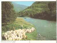Καρτ ποστάλ Δημοκρατίας της Βουλγαρίας ποταμό Vit 1 *