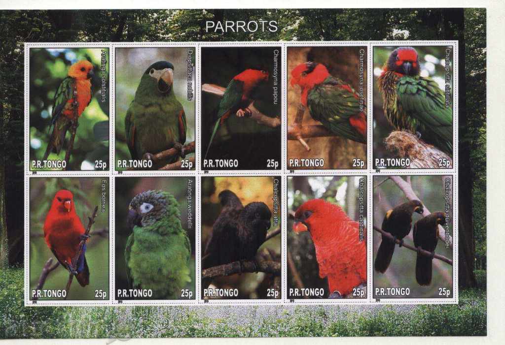 Papagalii curate 2010 bloc de Tongo