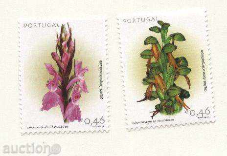 Curate mărcile 2003 Orhideele din Portugalia