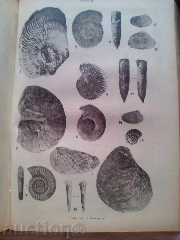 Delivery of Fundamentals of the geology of Bulgaria Delivery of Fundamentals of the geology of Bulgaria