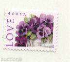 Pure Flower Violet Flowers 2011 from USA