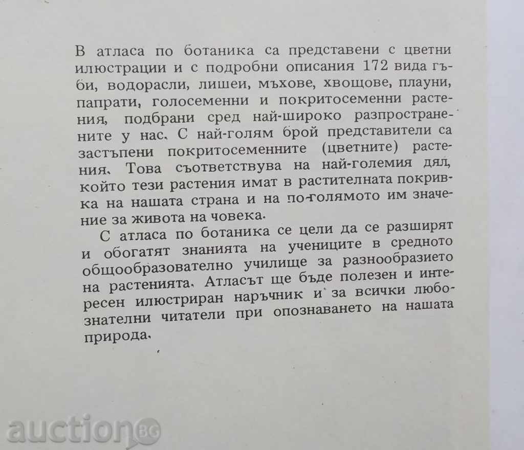 Atlas in botany - Slavcho Petrov, Emanuil Palamarev 1994 with price 10.00 BGN | € 5.11 Atlas in botany - Slavcho Petrov, Emanuil Palamarev 1994 with price 10.00 BGN | € 5.11