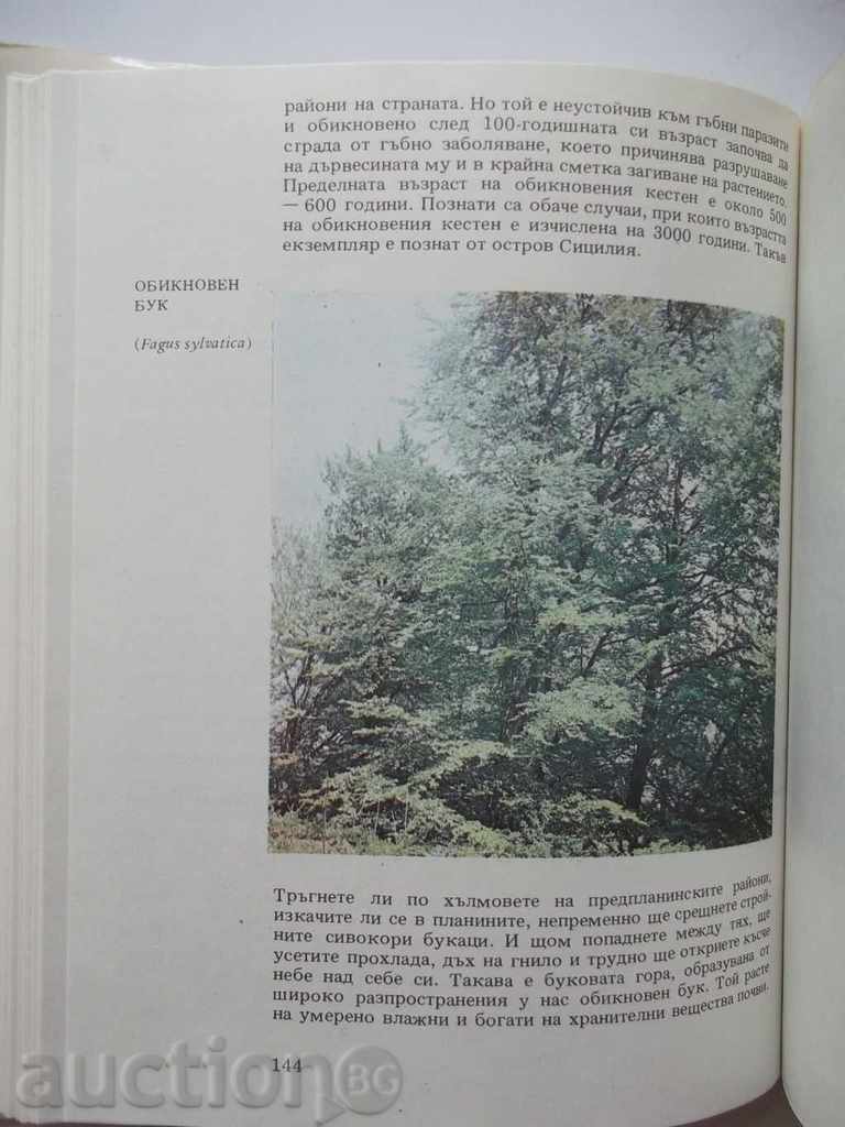 Auction Atlas in botany - Slavcho Petrov, Emanuil Palamarev 1994 Auction Atlas in botany - Slavcho Petrov, Emanuil Palamarev 1994