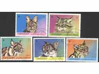 Клеймовани марки Диви котки 1971 от Аджман