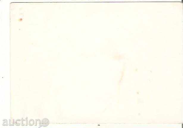 Postcard Bulgaria Iskrec village Sofia Sanatorium №1 * with price 0.80 BGN | € 0.41 Postcard Bulgaria Iskrec village Sofia Sanatorium №1 * with price 0.80 BGN | € 0.41