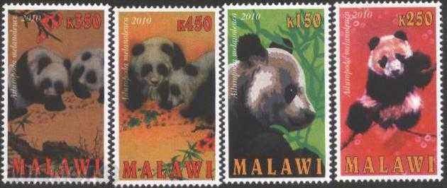 Curat urs panda marchează 2010 din Malawi