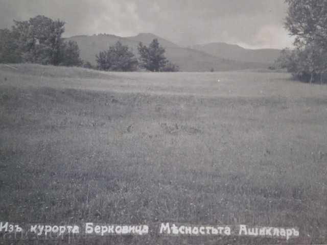 Auction From the resort Berkovitsa, Ashiklar area Auction From the resort Berkovitsa, Ashiklar area