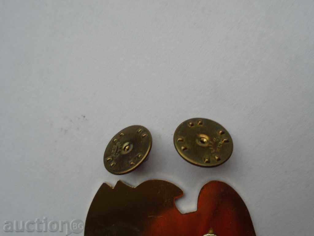 AMERICAN SIZE - PERFECT - 5 AMERICAN SIZE - PERFECT - 5