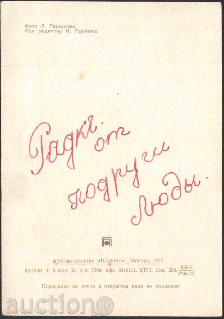 Flower Card 1974 from the USSR with price 1.00 BGN | € 0.51