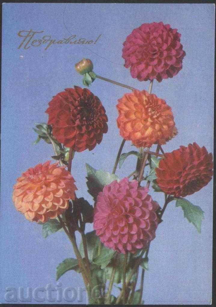 Καρτ ποστάλ λουλούδια 1974 από την ΕΣΣΔ