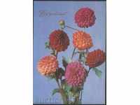 Καρτ ποστάλ λουλούδια 1974 από την ΕΣΣΔ