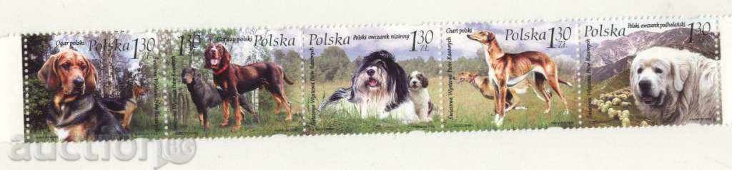 Чисти марки Кучета 2006 от Полша