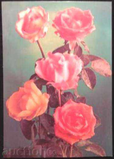 Postcard Flowers, Roses 1982 from the USSR. Signed.