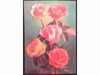 Καρτ ποστάλ λουλούδια, τριαντάφυλλα 1982 από την ΕΣΣΔ. Oversigned.