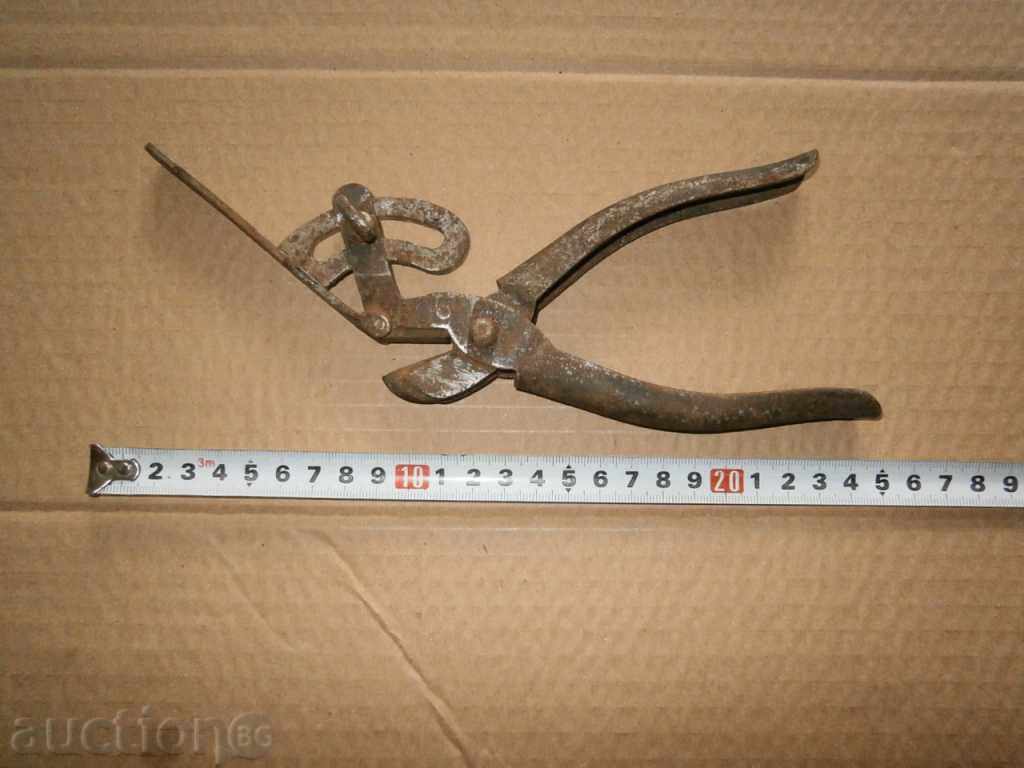 Auction  old chapade