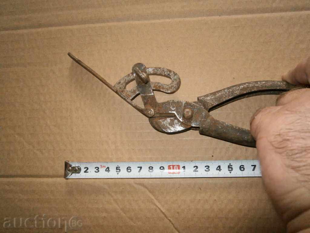 Delivery of old chapade