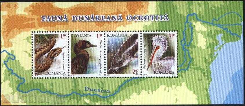 Clean block Fauna 2010 Romania