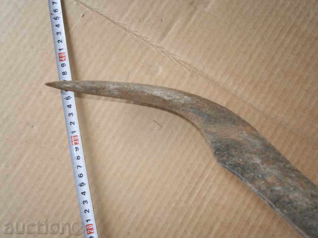 ANTIBODY PRIMARY COOKER HAND FORWARD - 5