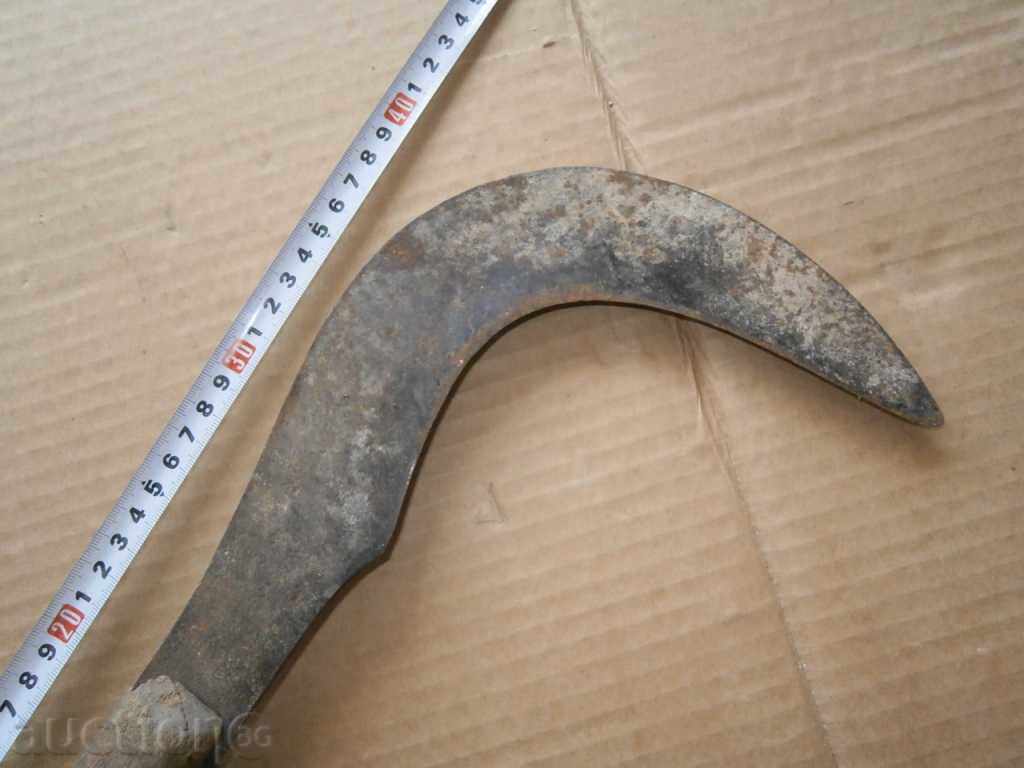 ANTIBODY PRIMARY COOKER HAND FORWARD - 7