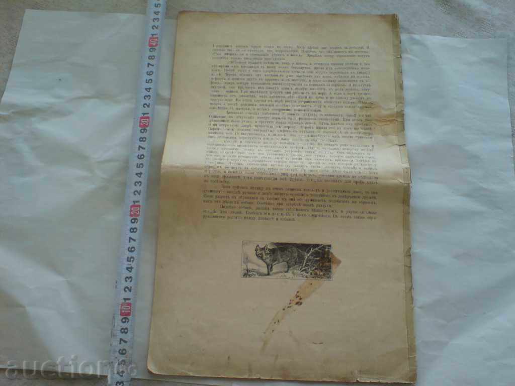 Delivery of part of an old Russian book - 1908