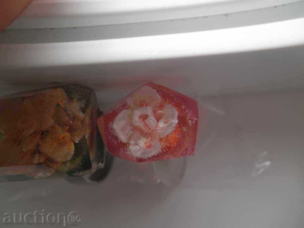 Two rings of flowers - 5