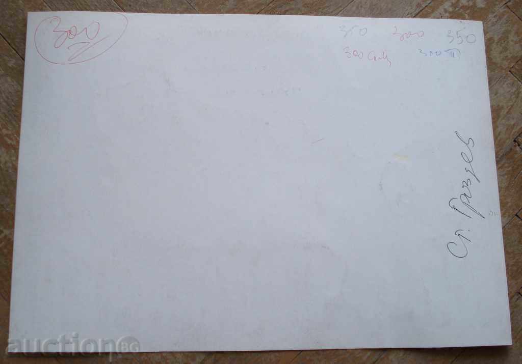 1080 Stoyan Grozdev political cartoon BCP-BSP P.25 / 35cm with price 30.00 BGN | € 15.34