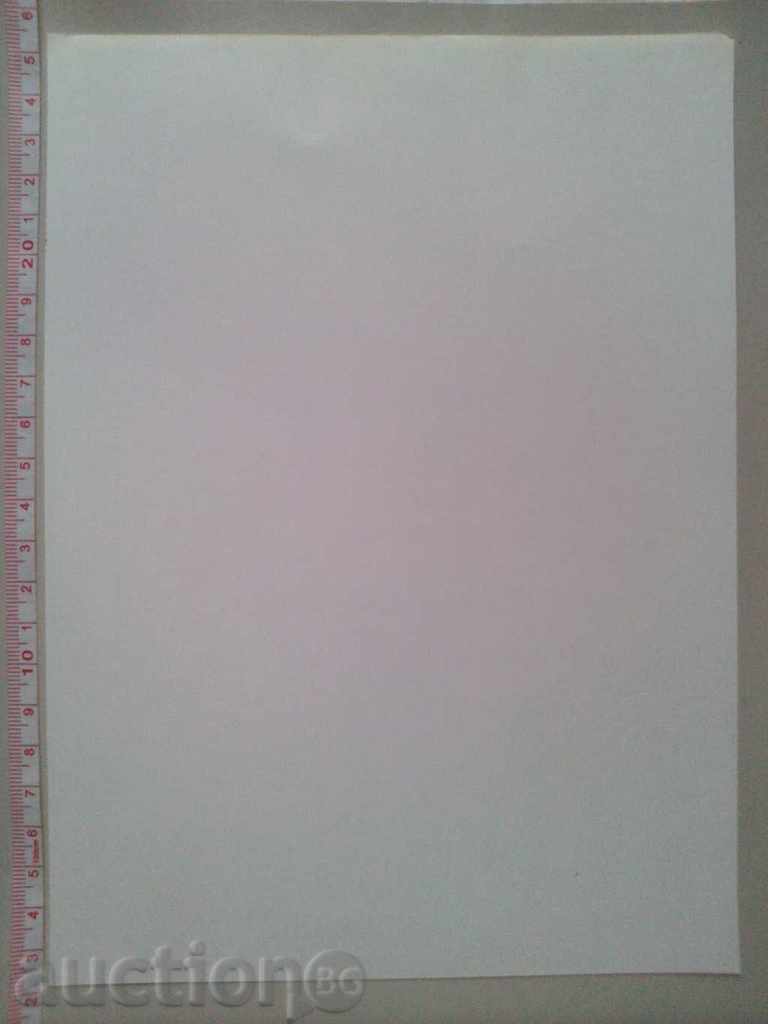 Fashion 1941 Crimella - Milano (605) RECOS with price 40.00 BGN | € 20.45 Fashion 1941 Crimella - Milano (605) RECOS with price 40.00 BGN | € 20.45