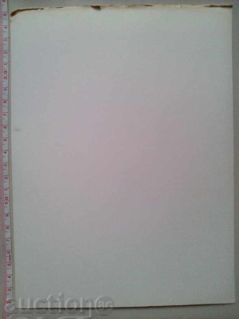 Fashion 1941 Milan Crimella - Milano (605) RECOS with price 40.00 BGN | € 20.45 Fashion 1941 Milan Crimella - Milano (605) RECOS with price 40.00 BGN | € 20.45