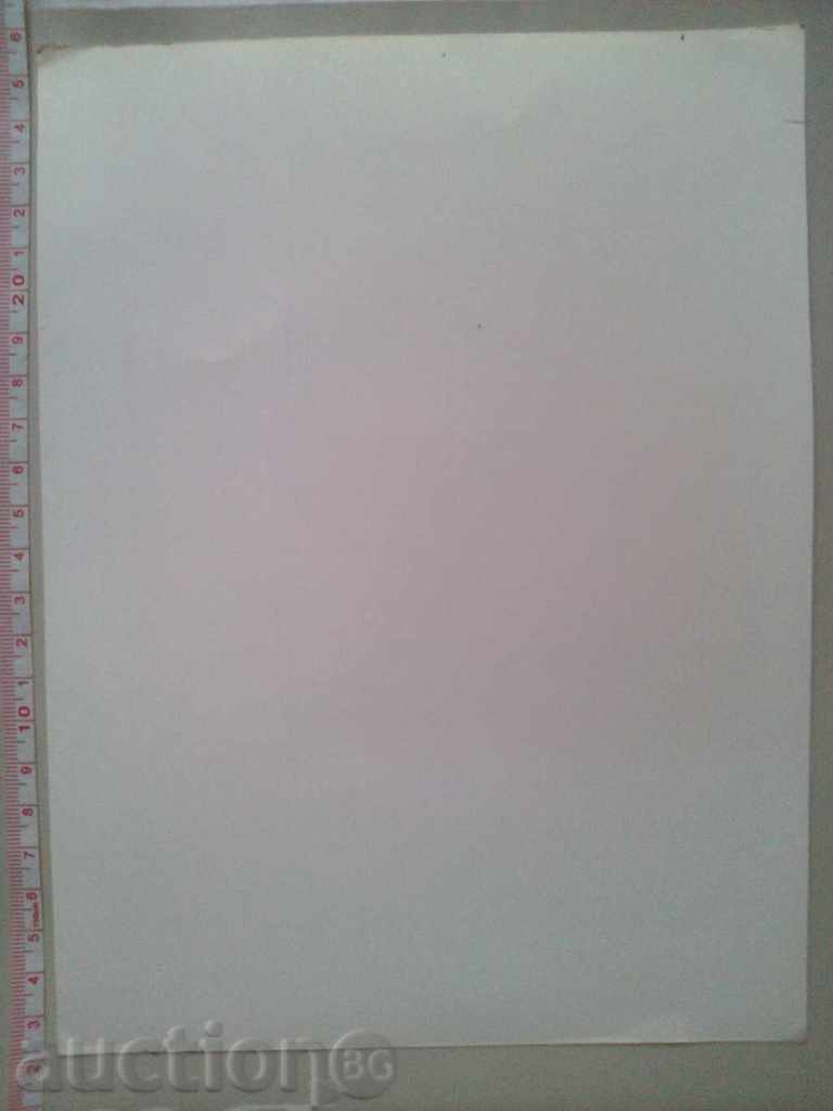 Fashion 1941 Milan Crimella - Milano (605) RECOS with price 40.00 BGN | € 20.45 Fashion 1941 Milan Crimella - Milano (605) RECOS with price 40.00 BGN | € 20.45