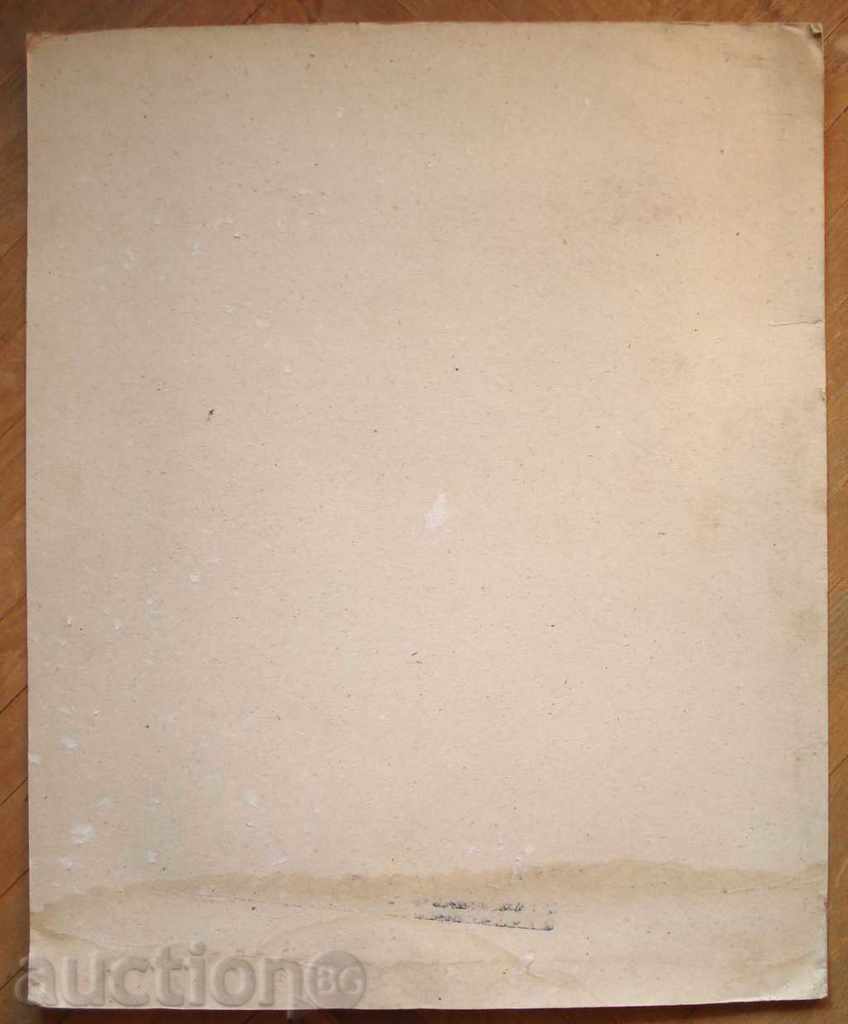 Delivery of 1119 Peter Petrov memorial of the African watercolor mixed technique Delivery of 1119 Peter Petrov memorial of the African watercolor mixed technique