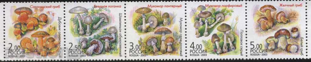 Чисти марки Гъби  2003 от Русия