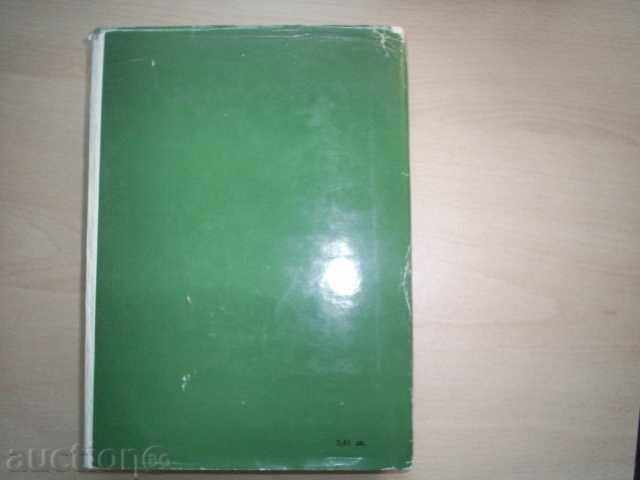 BULGARI-EFREM KARANFILOV - 7