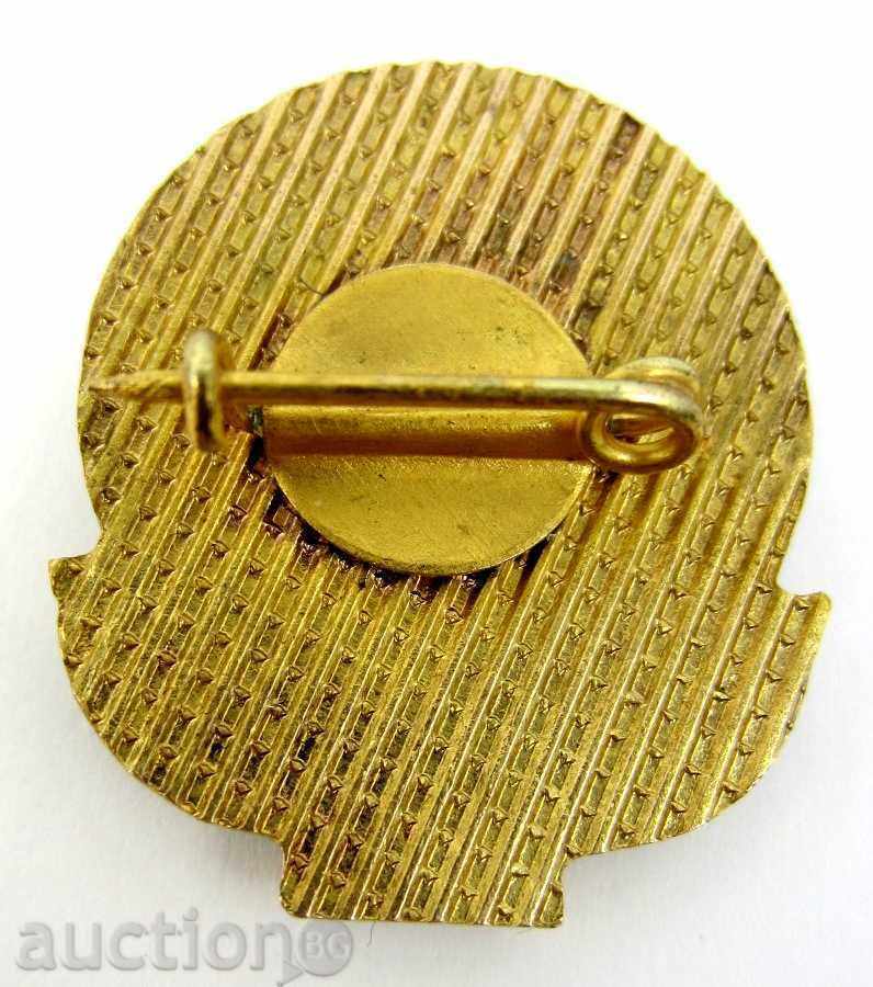 PIONEER ORGANIZATION-SOCIALISM-GILDING-ENAMEL - 5 PIONEER ORGANIZATION-SOCIALISM-GILDING-ENAMEL - 5