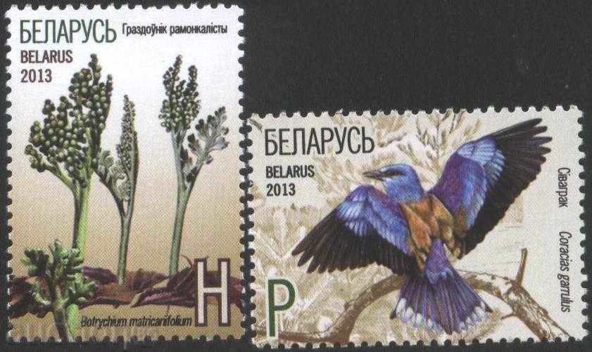 Чисти марки Флора и  Фауна Птица 2013 от Беларус