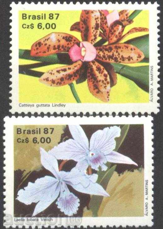 Καθαρό Μάρκες Χλωρίδα Λουλούδια Ορχιδέες από τη Βραζιλία το 1987