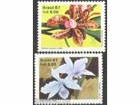 Καθαρό Μάρκες Χλωρίδα Λουλούδια Ορχιδέες από τη Βραζιλία το 1987