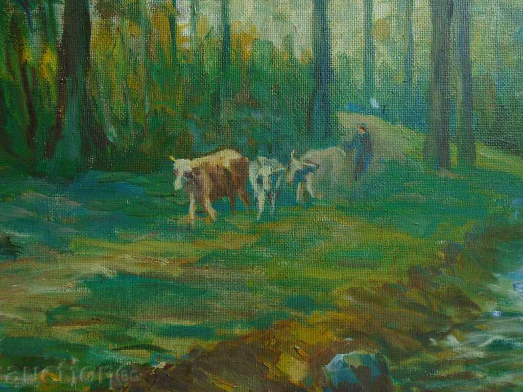 IVAN KANCHEV - 6