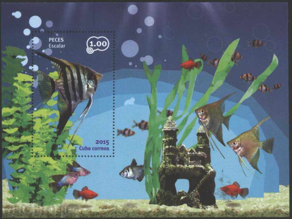 Clean Fauna Aquarium Fish 2015 from Cuba