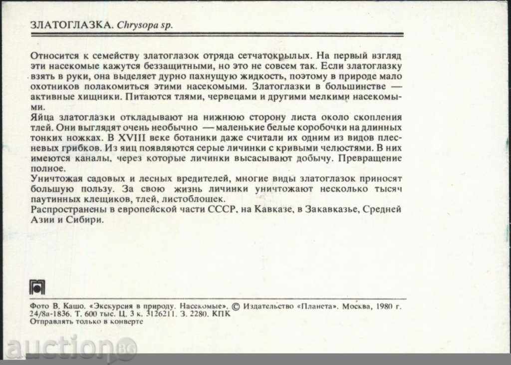 Insect Card 1980 USSR with price 1.00 BGN | € 0.51 Insect Card 1980 USSR with price 1.00 BGN | € 0.51