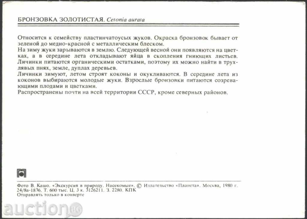 Insectico Map - Beetle 1980 USSR with price 1.00 BGN | € 0.51 Insectico Map - Beetle 1980 USSR with price 1.00 BGN | € 0.51