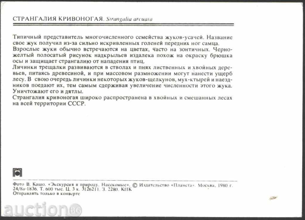 Insectico Map - Beetle 1980 USSR with price 1.00 BGN | € 0.51 Insectico Map - Beetle 1980 USSR with price 1.00 BGN | € 0.51