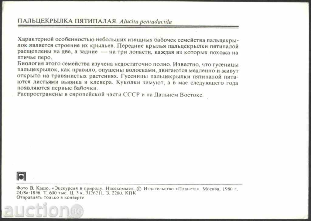 Insecte carte poștală - Butterfly 1980 URSS cu preț 1.00 BGN | € 0.51 Insecte carte poștală - Butterfly 1980 URSS cu preț 1.00 BGN | € 0.51