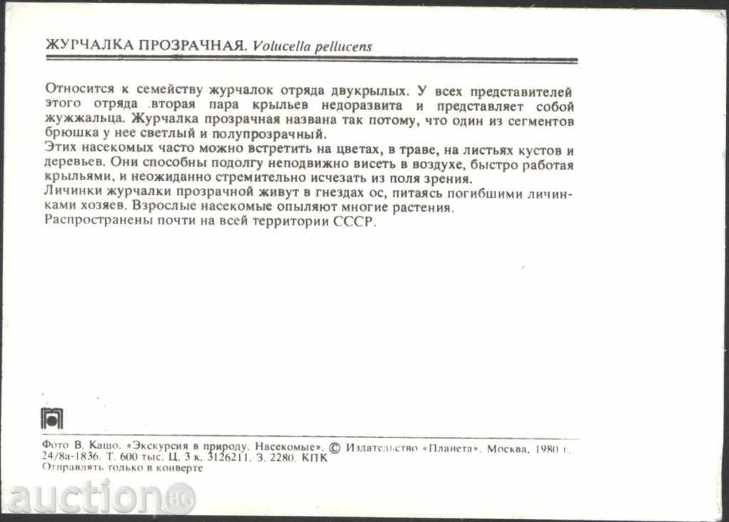 Insect Card - Sifida Muha 1980 USSR with price 1.00 BGN | € 0.51 Insect Card - Sifida Muha 1980 USSR with price 1.00 BGN | € 0.51