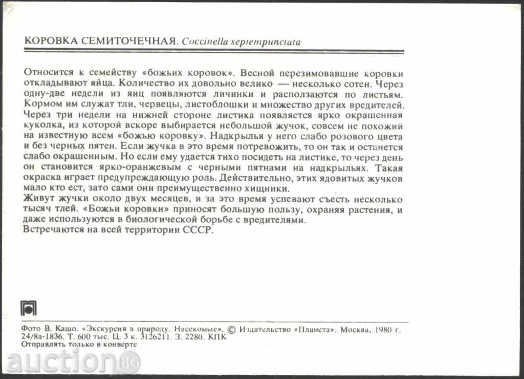 Insect - Kalinka 1980 USSR with price 1.00 BGN | € 0.51 Insect - Kalinka 1980 USSR with price 1.00 BGN | € 0.51