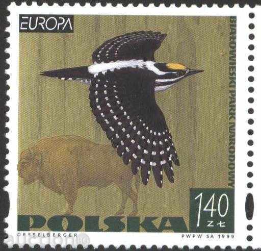 Чиста марка Европа СЕПТ Птица  1999  от Полша