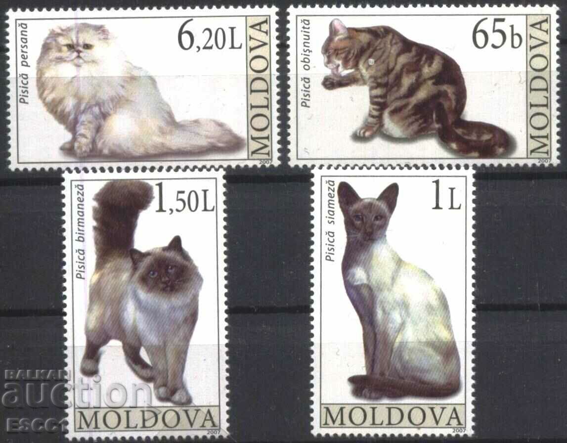 Чисти марки  Фауна Котки  2007 от  Молдова